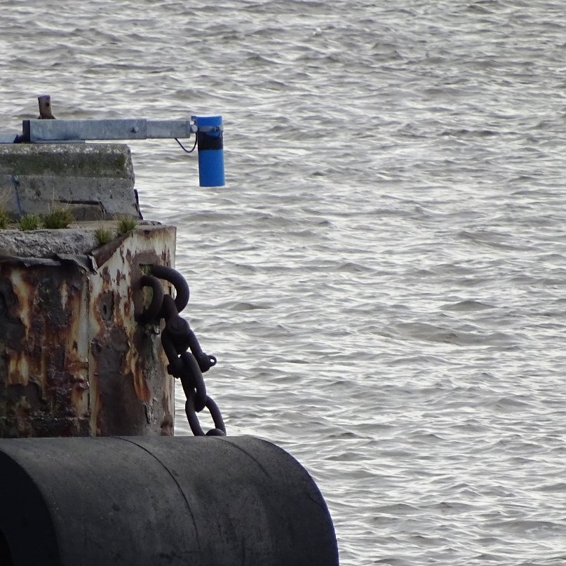 BlueHawk setup in harbour